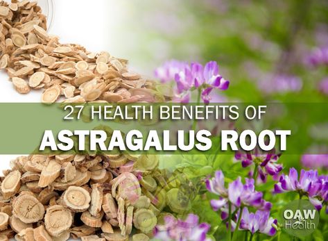 Astragalus Root Benefits, Astragalus Benefits, Mary Phillips, Hair And Skin Vitamins, Growing Mushrooms At Home, Skin Vitamins, Astragalus Root, All Vitamins, Magic Herbs