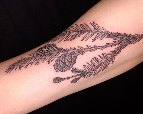 Redwood Needle Tattoo, Redwood Branch Tattoo, Red Pine Tattoo, Sequoia Tattoo, Seedling Tattoo, Sprig Tattoo, Botanical Illustration Tattoo, Pinecone Tattoo, Redwood Tattoo