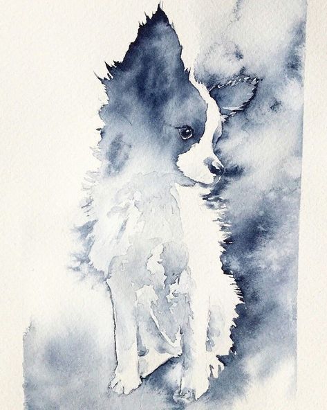 Psy Chihuahua, Pet Portrait Paintings, Art Papillon, Papillon Dog, Ap Studio Art, 강아지 그림, Portrait Paintings, Watercolor Dog, Watercolor Inspiration