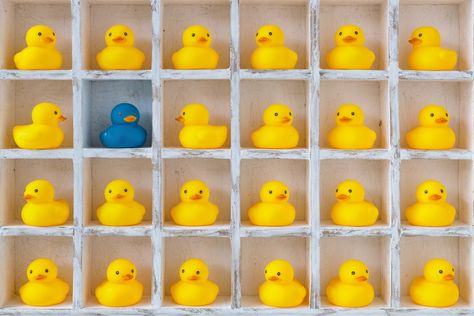 Fixating On How You're Different Can Hurt Your Marketing Duck Photo, Magazine Editor, Rubber Ducks, B2b Marketing, Marketing Tactics, Free Tools, Rubber Duck, Grow Business, Social Media Content