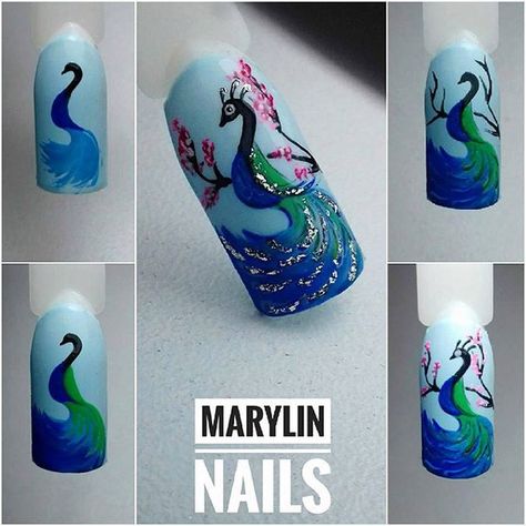 Animals Nails Design, Animal Nail Art Designs, Birds Nail Art, Peacock Nail Designs, Peacock Nail Art, Bird Nails, Bird Nail Art, Peacock Nails, Animal Nail Designs