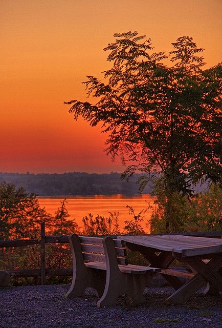 Evening Photo, Sunset Picnic, Fall Evening, Silhouette Photography, Sunset Silhouette, Tom Thumb, Red Sunset, Lake Sunset, Gorgeous Sunset