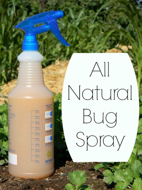 bug spray Bug Spray For Yard, Natural Bug Killer, Garden Bug Spray, Bug Spray For Plants, All Natural Bug Spray, Insect Repellent Homemade, Homemade Bug Spray, Diy Bug Spray, Natural Bug Spray