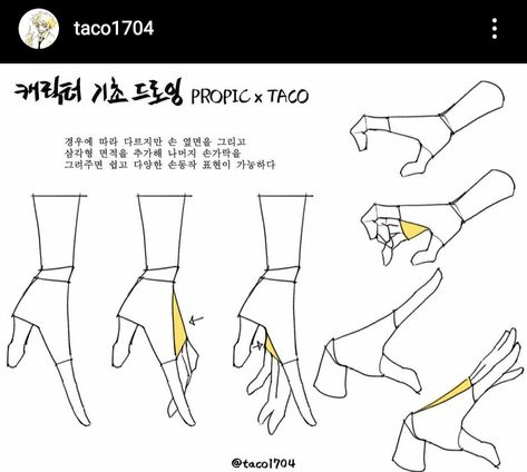 심플한 그림, Artist Tutorials, Draw Hands, Anatomy Tutorial, Hand Drawing Reference, Different Poses, Body Reference Drawing, Hand Reference, Anatomy Drawing