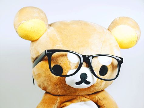 Rilakkuma. Cartoon Glasses, Fuzzy Wuzzy, Kawaii Toys, Japanese Kawaii, Cute Glasses, Super Kawaii, Cute Photography, Cute Teddy Bears, Rilakkuma