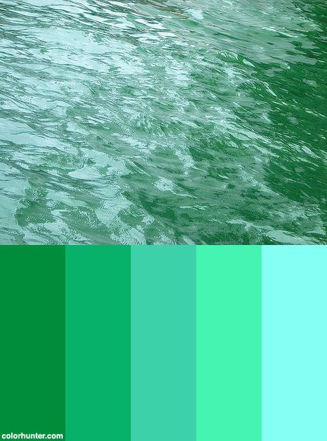 Seagreen Color Scheme from colorhunter.com Sea Green Colour, Paint Color Combos, Zyla Colors, Beach Penthouse, Sea Green Color, Chaat Recipe, Ocean Colors, Green Colour Palette, Green Theme