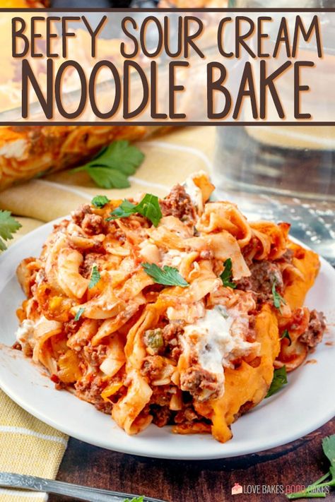 This Beefy Sour Cream Noodle Bake is pure comfort food! Wide egg noodles and a meaty sauce with a creamy middle layer, all topped with Cheddar cheese! Egg Noodle Spaghetti Bake, Hamburger Noodle Bake With Cream Cheese, Beefy Sour Cream Noodle Bake, Cream Cheese Noodle Bake, Egg Noodle Lasagna Bake, Egg Noodle Pasta Bake, Egg Noodle Bake Casserole Recipes, Wide Egg Noodle Recipes Dinners, Wide Egg Noodle Recipes