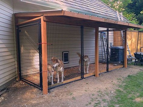 Backyard Dog Kennel, Dog Run Ideas, Dog Enclosures, Backyard Dog Area, Garage Backyard, Dog Kennel Ideas, Dog Backyard, Dog Kennel Designs, Diy Dog Kennel