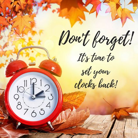 Remember to set your clocks back before going to bed tonight. Enjoy sleeping in tomorrow!  #fallback #fall #daylightsavings Daylight Savings Fall Back, Fall Back Time Change, Daylight Savings Time Spring, Fall Back Time, Spring Forward Fall Back, Realtor Posts, Clocks Fall Back, Daylight Saving Time Ends, Clocks Go Back