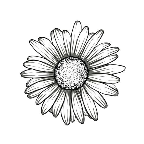 Sun Flower Tattoo Stencil, Sunflower Tattoo Design Simple, Margarita Tattoo Design, Daisy Sketch Simple, Daisy Tattoo Stencil, Flower Sketch Pencil, Daisy Tattoo Designs, Anker Tattoo, Beginner Tattoos