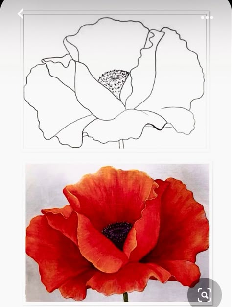 How To Paint Poppies, Physical Touch Love Language, Poppy Flower Painting, Minimal Tattoo Designs, Flower Drawing Tutorials, Touch Love, Watercolor Poppies, Flower Art Drawing, Poppy Painting