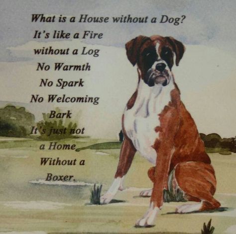 It's just not home without my boxers. Boxer Dog Quotes, Dogs Ideas, Boxer Dog Puppy, Boxer Dogs Art, Fabric Panel Quilts, Boxer And Baby, Square Fabric, Cute Phrases, Boxer (dog)