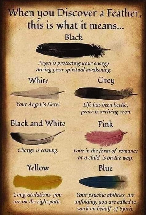 Feather Color Meaning, Feather Tattoo Meaning, Feather Meaning, Animal Spirit Guides, Witch Spirituality, Magic Spell Book, Wiccan Spell Book, Witchcraft Spell Books, Witch Spell Book