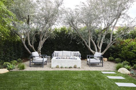 Courtyard Plants, California Backyard, California Bungalow, Pool Landscape Design, California Garden, Garden Greenhouse, Backyard Inspo, Outdoor Decor Backyard, House Landscape