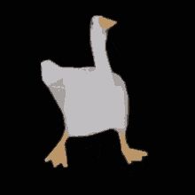 Duck Gif, Duck Walking, Dancing Duck, Animated Gif, Dancing, Walking, Gif