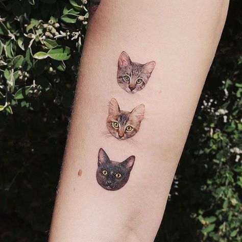 Happy #CatTatThursday! 🐈✨⠀ ⠀ Whats better than one kitty...? Three kitties! ❤️ We’re in love with these kitty portraits of Jesse, Beanie and Pepper by @paw.tattoo! #cattooswelove Cat Face Tattoo, Tiny Cat Tattoo, Cat Face Tattoos, Tattoo Gato, Cat Portrait Tattoos, Cat Tattoo Designs, Face Tattoos, Face Tattoo, Disney Tattoos