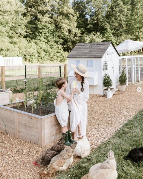 Chicken Coop Near Garden, Chicken Coop Veggie Garden, Chicken Coop Inside Garden, Vegetable Garden And Chicken Coop, 2 Chicken Coop, Backyard Garden And Chicken Coop, Chicken Coop Photoshoot, Chicken Coop Garden Combo Design, Cutest Chicken Coop