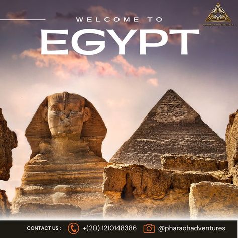 "Discover the Mysteries of Ancient Egypt with Our Expert Travel Agency! 𝗦𝘁𝗮𝗿𝘁 𝘆𝗼𝘂𝗿 𝗮𝗱𝘃𝗲𝗻𝘁𝘂𝗿𝗲❗️ 𝗕𝗼𝗼𝗸 𝘆𝗼𝘂𝗿 𝗹𝘂𝘅𝘂𝗿𝘆 𝗘𝗴𝘆𝗽𝘁 𝘁𝗼𝘂𝗿 👉https://pharaohadventures.com/" #egypttravelagency #egypttravelagent #egypttouroperator #egypttour #egypttourpackages #egypttravel #egypttourism #egypttrip #egyptholidays #egyptvacation Egypt Tourism, Egypt Tours, Egypt Travel, Adventure Book, Tour Operator, Tour Packages, Travel Agency, Ancient Egypt, Cairo