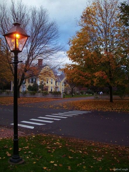 I love the feel of this picture, with the pretty leaves and the great lantern. Gilmore Girl, Trondheim, Season Of The Witch, Autumn Scenery, Fall Feels, Best Seasons, Fall Pictures, We Fall In Love, Autumn Cozy