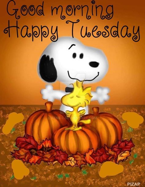 Good Morning Autumn, Funny Snoopy, Thanksgiving Snoopy, Good Morning Snoopy, Peanuts By Schulz, Halloween Infantil, Peanuts Charlie Brown Snoopy, Snoopy Dog, Thanksgiving Pictures