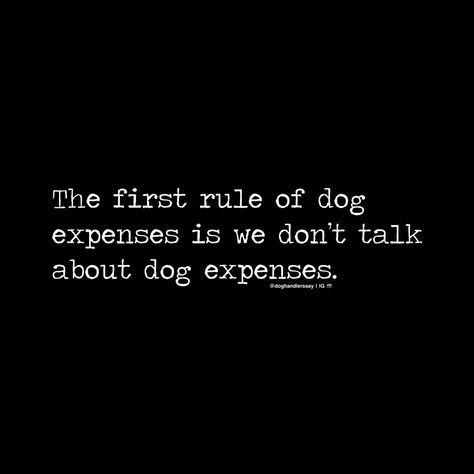 Dog Training Quotes Funny, Dog Agility Quotes Funny, Dog Agility Quotes, Dog Trainer Quotes, Dogs Purpose Quotes, Dog Quotes Funny, Puppies And Kitties, Chihuahua Love, Dog Rules