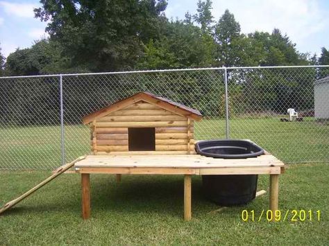 Duck Coop with Attached Deck and Pool | 12 Duck Coop Ideas For Your Homestead Goat Houses, Duck Pens, Goat Playground, Pygmy Goats, Goat Pen, Backyard Ducks, Duck Coop, Pet Diy, Goat House