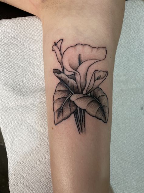 Tatoos Small Meaning Strength, Cala Lily Tattoos, Calla Lily Tattoo Traditional, Tattoos Clouds, Black And White Lily Tattoos, Small Calla Lily Tattoo, Tiny Calla Lily Tattoo, Peace Lily Tattoo, Lily Tattoo Black And White