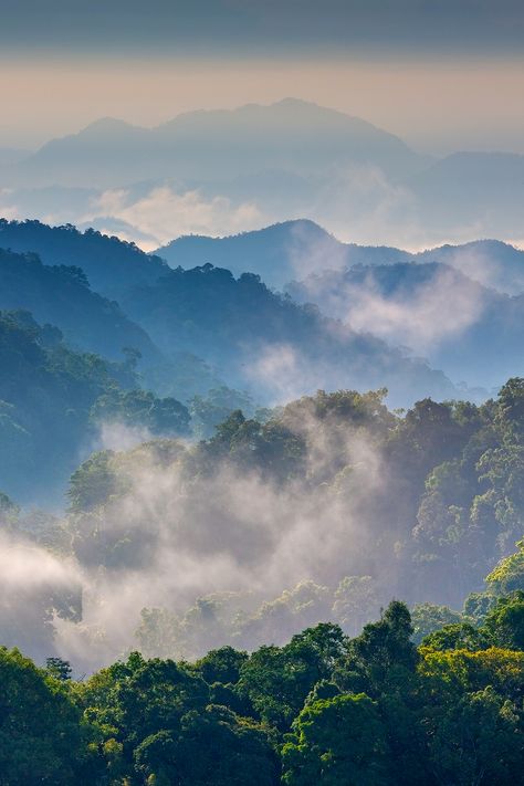 Morning Mist at Tropical Mountain Range. This place is in the Kaeng Krachan National Park, Thailand Erawan National Park, Places To Visit In Thailand, Khao Yai National Park, Thailand Wallpaper, Best National Parks, Breathtaking Nature, Morning Mist, Awesome Places, Southeast Asia Travel