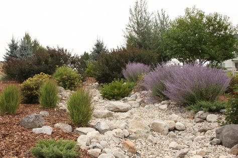 Nina's dry stream bed in Montana - FineGardening River Bed Landscaping Ideas, River Bed Landscaping, Dry River Bed Landscaping, Bed Landscaping Ideas, Dry Stream Bed, Dry Riverbed Landscaping, Dry River Bed, Dry Stream, Backyard Stream