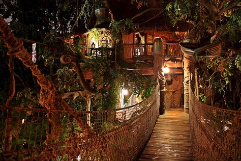 My kid's future playhouse Swiss Family Robinson Treehouse, Luxury Tree Houses, Swiss Family Robinson, Cool Tree Houses, Deco Boheme, Pretty House, My Dream Home, A Tree, Tree House