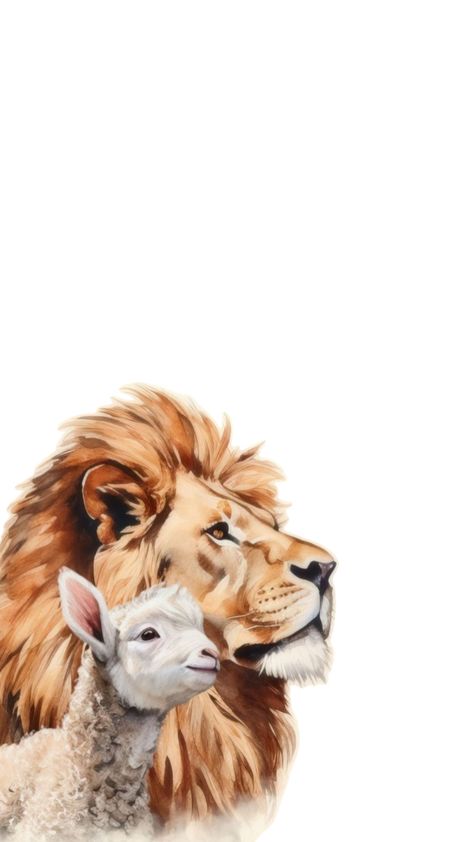 Lamb Drawing, Christian Graphics, Jesus Culture, Lion And Lamb, Christian Affirmations, Jesus Christ Artwork, Lion Wallpaper, Bible Illustrations, Prophetic Art