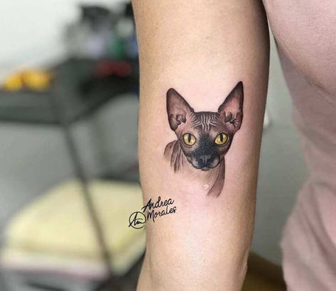 Sphynx Tattoo, Sphynx Cat Tattoo, Sphinx Tattoo, Pet Memorial Tattoo, Cousin Tattoos, Sphinx Cat, Tattoo World, Wolf Tattoo Design, Cat Tattoo Designs