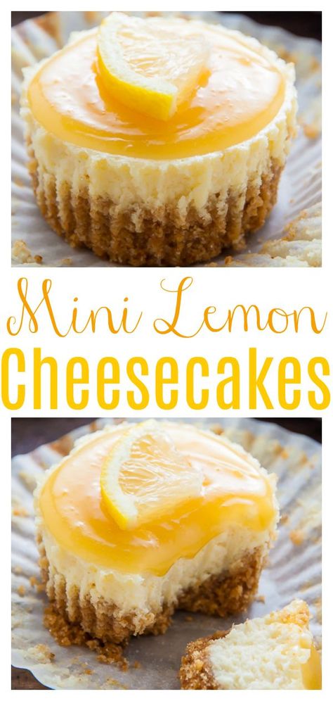 Sweet and creamy Lemon Ricotta Cheesecake Cupcakes! Everything you love about lemon cheesecake, but in mini form. Made in a muffin tin, these Bite-Sized Lemon Cheesecakes are so easy and always a crowd-pleaser! Cheesecake Recipe Ideas, Lemon Ricotta Cheesecake, Lemon Cheesecakes, Homemade Cheesecake Recipes, Mini Lemon Cheesecakes, Cheesecake Ideas, Baker By Nature, Ricotta Cheesecake, Homemade Cheesecake