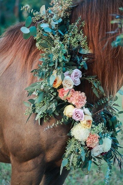 This Is Love, Bridal Bouquets, Bridal Fashion, Styled Shoot, Wedding Blog, Equestrian, Fashion Inspiration, Bouquets, Floral Wreath