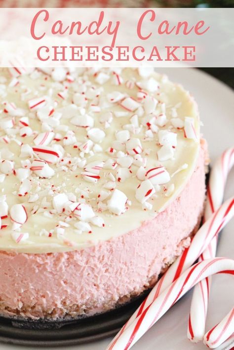 Candy Cane Cheesecake Makes Dessert Very Merry #christmas #christmastree #christmasfood #christmasrecipes #recipes #desserts #dessertfoodrecipes #dessertrecipes #dessertideas #desserttable #holidayrecipes #holidaybaking #candycane Candy Cane Cheesecake, Holiday Cheesecake Recipes, Holiday Cheesecake, New Year's Desserts, Oreo Cheesecake, Christmas Cooking, Cheesecake Recipe, Holiday Cooking, Food Cakes