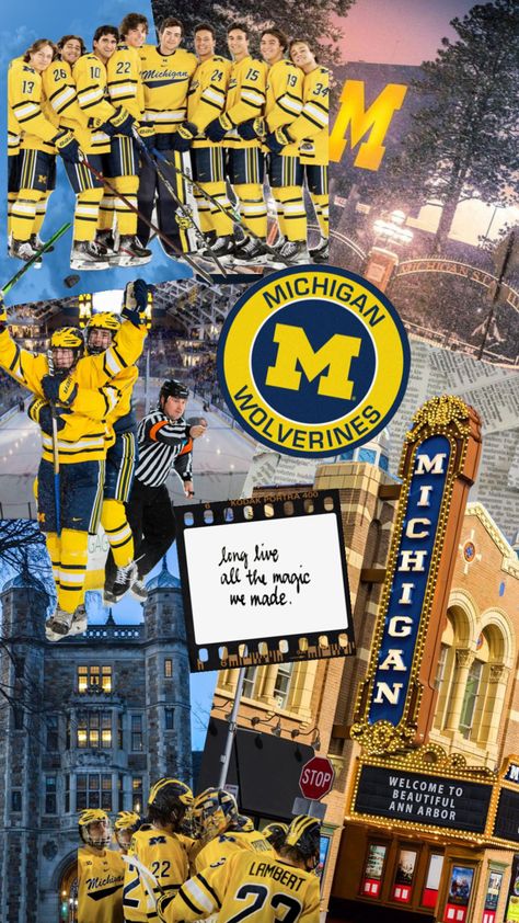 Umich Aesthetic, Michigan Wolverines Hockey, Michigan Hockey, Hockey Goal, Nhl Wallpaper, Michigan Go Blue, College Vision Board, Michigan M, College Hockey