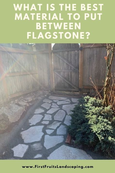 Patio With Flagstone Pavers, Concrete And Flagstone Patio, Flag Stone Backyard, Flagstone With Gravel, Flagstone Pathway Side Of House, How To Flagstone Pathway, Flagstone Side Yard, Flagstone Pavers Walkway, Flagstone And Gravel Walkway