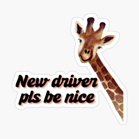 Get my art printed on awesome products. Support me at Redbubble #RBandME: https://www.redbubble.com/i/sticker/New-driver-please-be-nice-funny-meme-funny-quote-sad-hamester-cute-girl-driving-by-Shoroukshopxx/159442120.EJUG5?asc=u New Driver Quotes Funny, New Driver Quotes, Driver Quotes Funny, Driver Quotes, Girl Driving, Girls Driving, Money Pit, New Driver, New Drivers