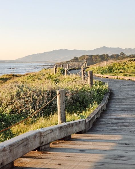 Moonstone Beach Boardwalk in Cambria, California • Photo courtesy of @nschmiedl on Instagram Cambria California, Moonstone Beach, Beach Boardwalk, California Photos, Coastal Life, California Coastal, Nantucket, Beautiful Views, Travel Usa