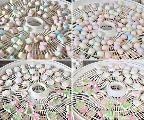 Dehydrating Marshmallows, Dehydrator Meals, Dehydrate Marshmallows, Dried Marshmallows, 1800 Clothing, Kitchen Restock, Dehydrated Bananas, Dehydrator Ideas, Dehydrated Food Recipes