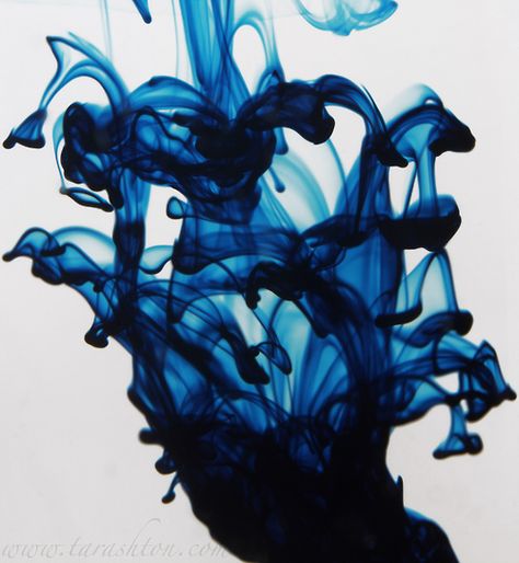 "Blue Ink" ~ Photography by Tara Ashton Blue Inspiration, Ink In Water, Water Photography, After Life, Underwater Photography, Abstract Photography, Hangzhou, 인물 사진, Color Textures