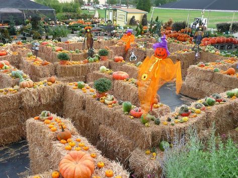 Fall festival Idea!!!!   I want this at our Fall Festival!!! I'm hoping we can pull it off!~ Fall Festival Preschool Ideas, Agritourism Activities, Hayride Ideas, Farm Playground, Fall Festival Activities, Farm Tourism, Hay Maze, School Fall Festival, Pumpkin Patch Farm