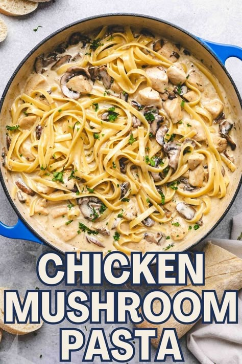 chicken mushroom pasta on a white plate. Chicken Mushroom Dinner, Chicken Breast Pasta Recipes, Creamy Chicken Mushroom Pasta, Mushroom Dinner, Mushroom Fettuccine, Chicken Breast Pasta, Creamy Chicken Mushroom, Chicken Mushroom Pasta, Creamy Parmesan Chicken