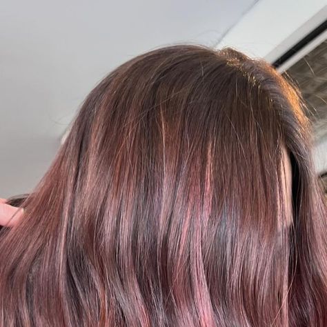 Subtle Pink Hair Brunette, Pink Hair Brunette, Subtle Pink Hair, Soft Pink Highlights, Subtle Pink Highlights, Pink Balayage, Dark Brunette Hair, Dark Brunette, Hair Brunette