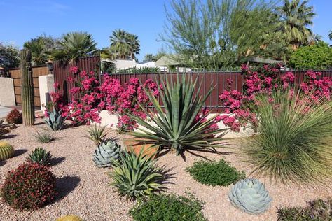 Garden Remodel, Low Maintenance Landscaping Front Yard, Low Maintenance Shrubs, Front Yard Decor, Landscaping Simple, Waterwise Garden, Drought Tolerant Landscape, Gravel Garden, Low Maintenance Landscaping