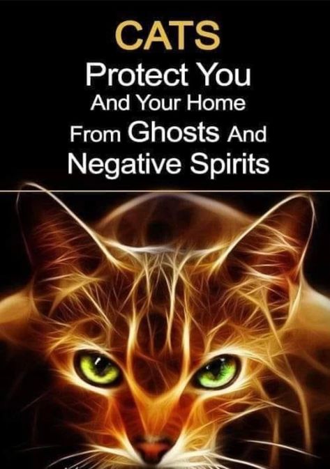 Cat Spirit Animal, Cat Spirit, Animal Spirit Guides, Become Wealthy, Cat Facts, Cat Quotes, Maize, Protecting Your Home, Cat Food