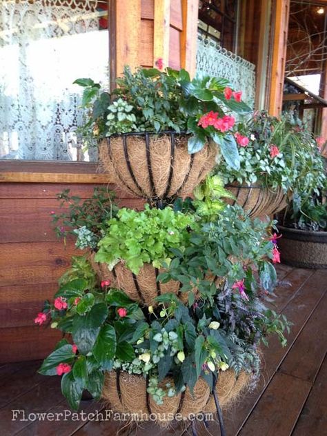 Shade Planters, Planters For Shade, Indoor Garden Design, Garden Flowers Ideas, Vegetable Ideas, Hanging Plants Outdoor, Container Herb Garden, Tiered Planter, Vertical Vegetable Garden