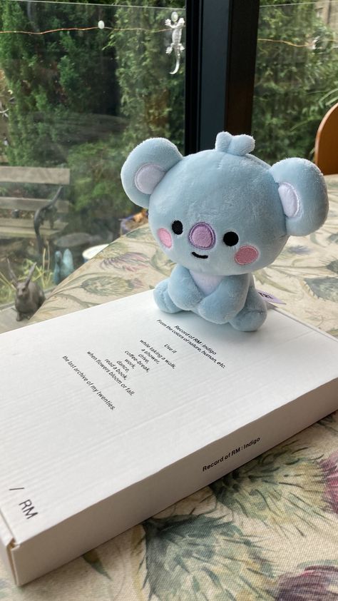 Koya Bt21, Pinterest Aesthetic, Bts Rm, Album Bts, Love Photography, Love Art, Art Museum, Teddy Bear, Bts