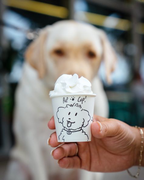 This is your sign to get your pup a cup 🐶🤝☕️ #pupcup Shoutout to our Pompano barista for these hand drawn treasures!! Pup In A Cup, Pup Cups, Pup Cup, Tea Cup Golden Retriever, August 10, Shout Out, Hand Drawn, How To Draw Hands, Signs