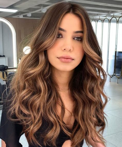 Brown Hair with Caramel Blonde Highlights Brunette Hair With Highlights, Spring Hair Color, Brunette Balayage Hair, Brown Hair Balayage, Hair Color For Women, Balayage Brunette, Spring Hairstyles, Summer Hair Color, Hair Color Balayage